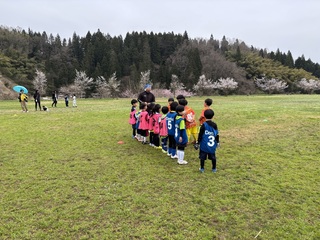 IMG_9367.jpeg