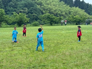 IMG_9958.jpeg